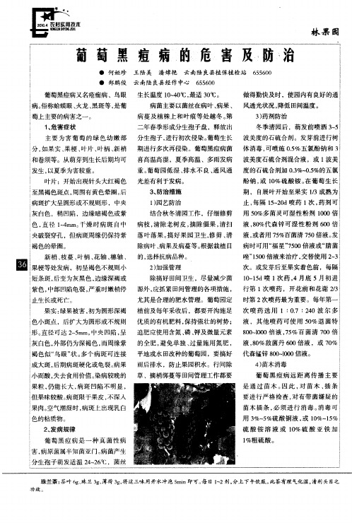葡萄黑痘病的危害及防治
