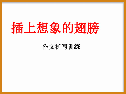 作文技法指导-插上想象的翅膀：作文扩写训练