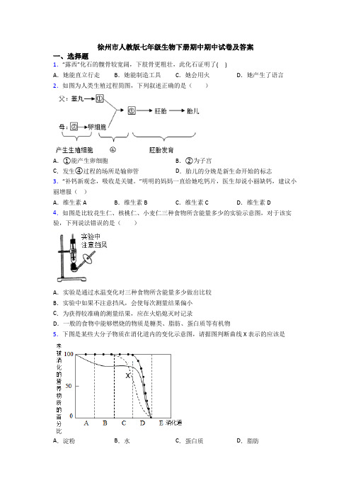 徐州市人教版七年级生物下册期中期中试卷及答案