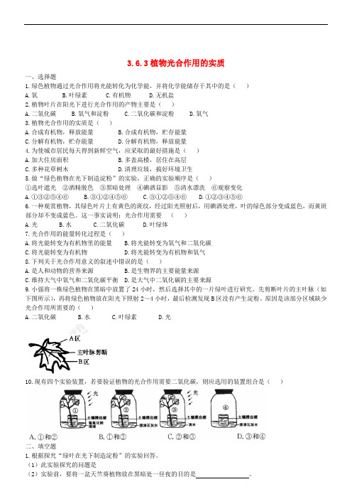 七年级生物上册 3.6.3植物光合作用的实质同步测试 (新版)苏教版