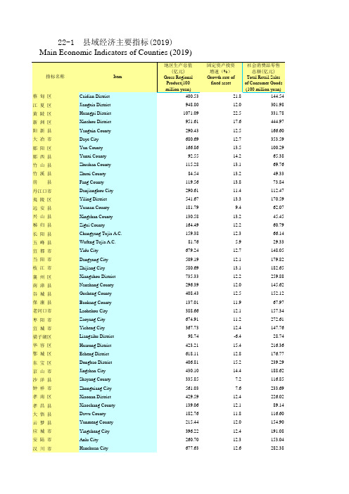 湖北统计年鉴2020社会经济发展指标：2201-0-县域经济城市指标2019