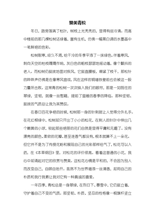 初二作文:赞美青松作文600字