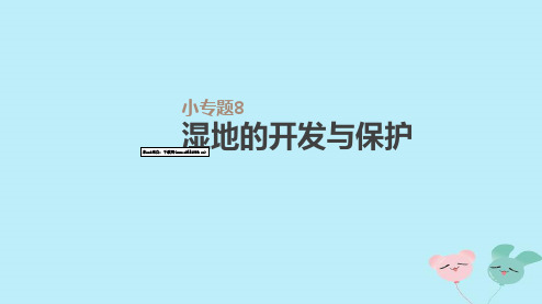 高考地理一轮复习小专题湿地的开发与保护课件新人教版