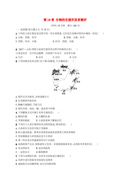 八年级生物上册第19章生物的生殖和发育测评(新版)北师大版