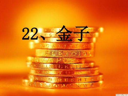 三年级语文上册22、金子(经典版)PPT