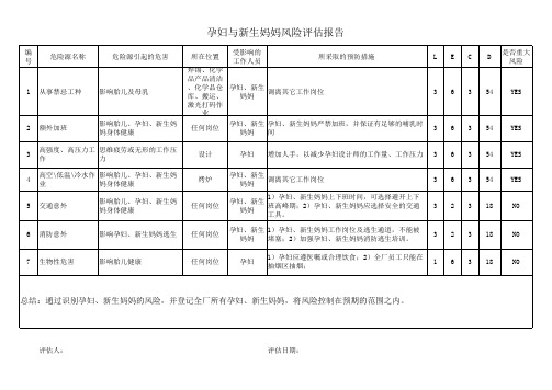 孕妇与新生妈妈风险评估报告