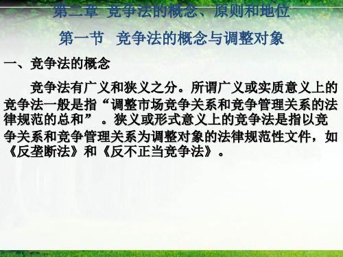 竞争法：概念、原则和地位