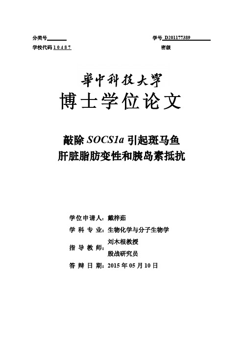 敲除SOCS1a引起斑马鱼肝脏脂肪变性和胰岛素抵抗