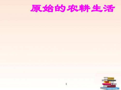 山东省泰安市岱岳区大汶口镇柏子中学七年级历史上册《原始的农耕生活》课件 新人教版