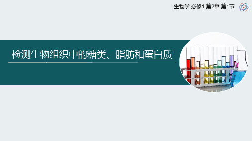  2-1检测生物组织中的糖类、脂肪和蛋白质课件高一上学期生物人教版必修1