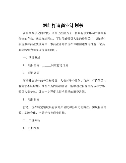 网红打造商业计划书