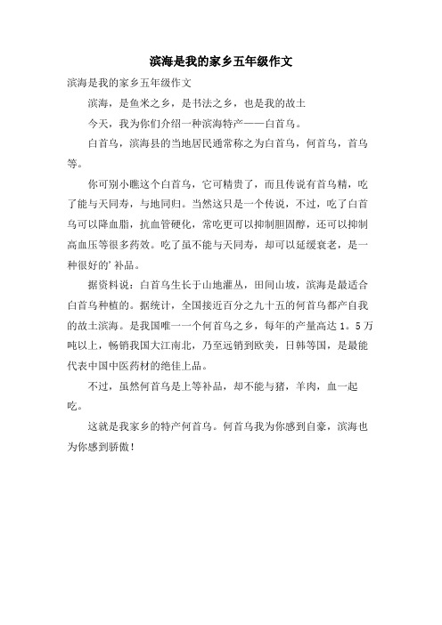 滨海是我的家乡五年级作文