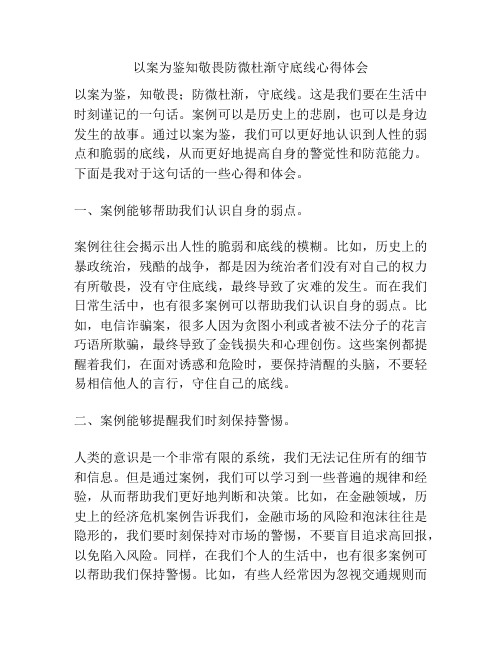 以案为鉴知敬畏防微杜渐守底线心得体会