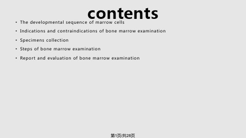 骨髓细胞学检查PPT课件