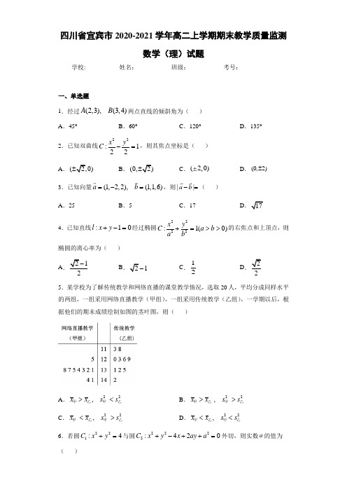 四川省宜宾市2020-2021学年高二上学期期末教学质量监测数学(理)试题