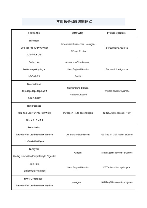 常用蛋白酶切割位点