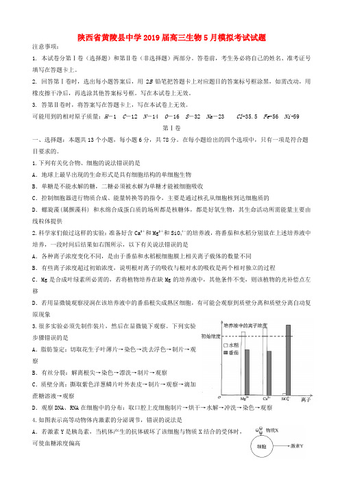 陕西省黄陵县中学2019届高三生物5月模拟考试试题(有答案)AUnUMA (1)