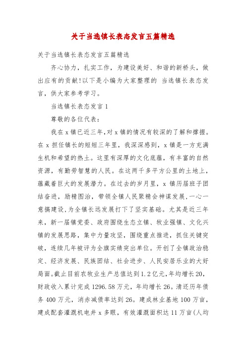 精编关于当选镇长表态发言五篇精选(四)