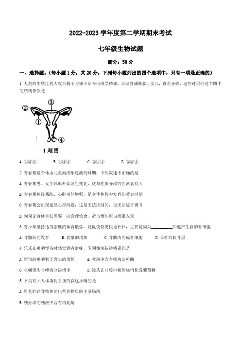 河南省周口市鹿邑县2022-2023学年七年级下学期期末生物试题(含答案)