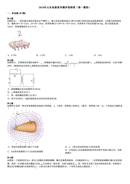 2024年山东省新高考测评卷物理(第一模拟)