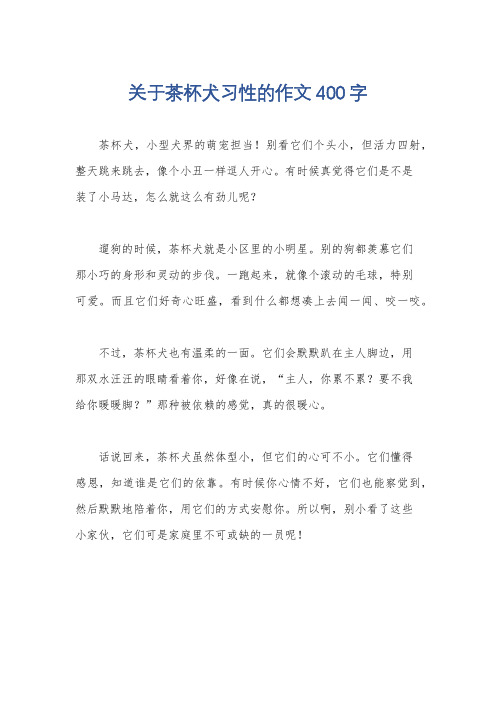 关于茶杯犬习性的作文400字