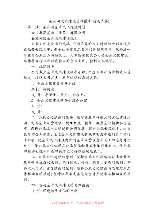 某公司文化建设总结报告(精选多篇)(精品范文).doc