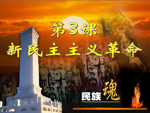 高中历史人民版必修一3.3新民主主义革命 (共48张PPT)