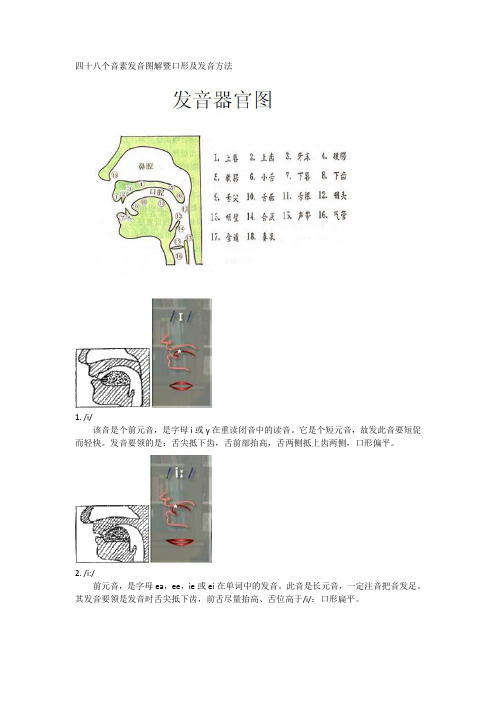 四十八个音素发音图解暨口形及发音方法