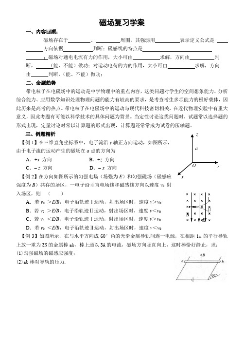 磁场复习学案