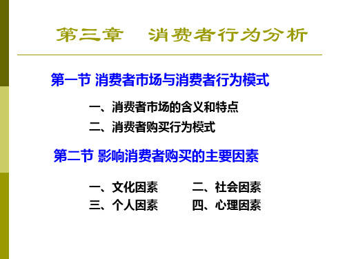 第三章消费者行为分析