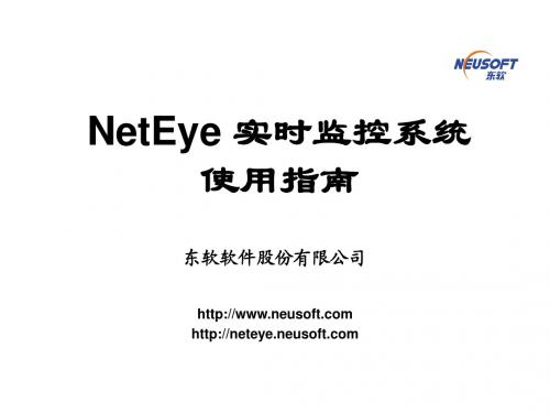 NetEye FW 实时监控系统