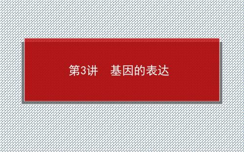 2014高中全程复习构想生物新课标一轮复习2.3.3基因的表达