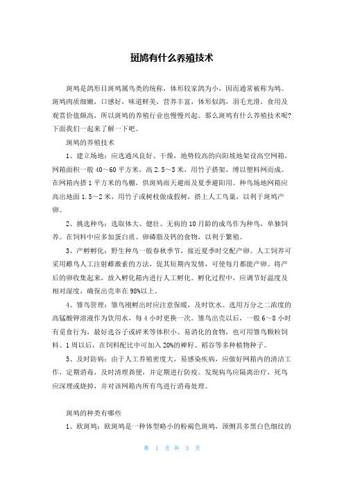 斑鸠有什么养殖技术