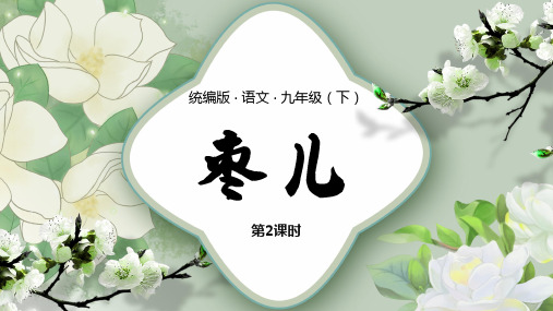 统编版语文九年级(下)《枣儿》第二课时PPT课件(带内容)