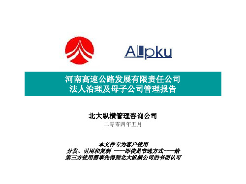 河南高速法人治理、母子公司报告74259PPT资料66页