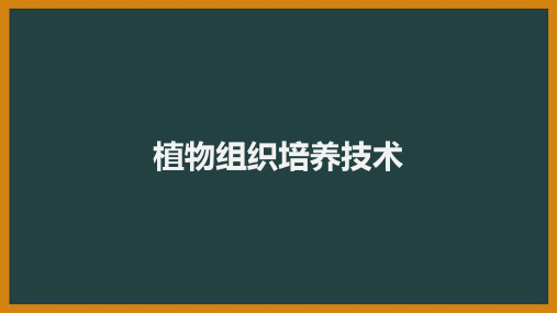 高中生物植物组织培养技术公开课PPT课件