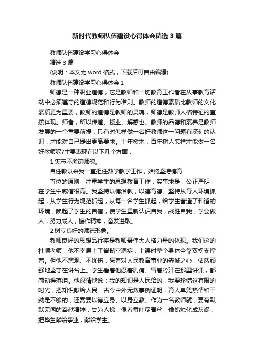 新时代教师队伍建设心得体会精选3篇