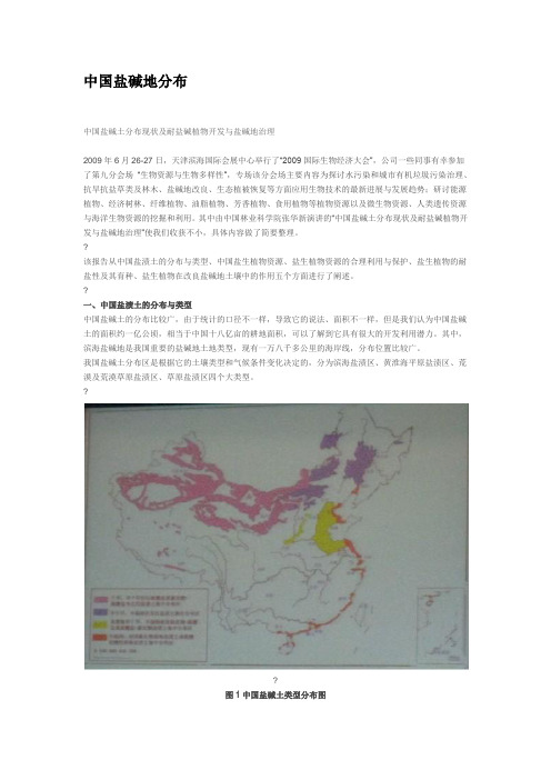 中国盐碱地分布