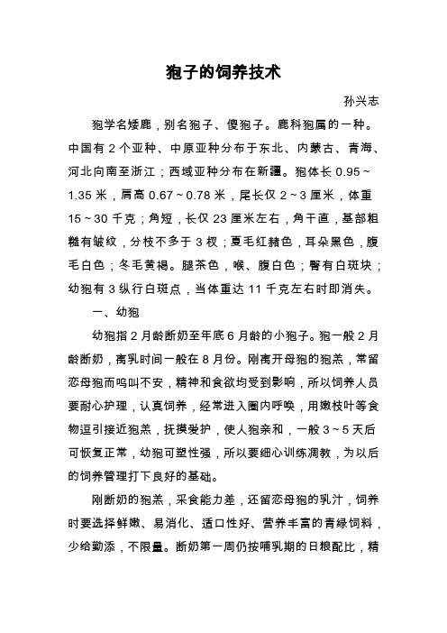 狍子的饲养技术