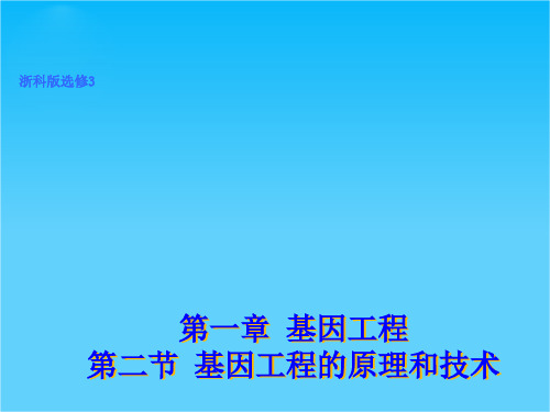 高二生物浙科版选修3课件1.2 基因工程的原理和技术