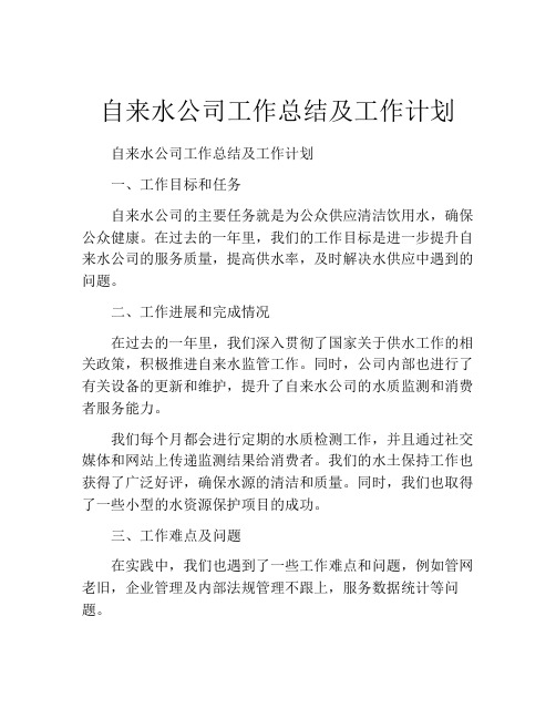 自来水公司工作总结及工作计划