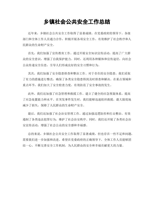 乡镇社会公共安全工作总结