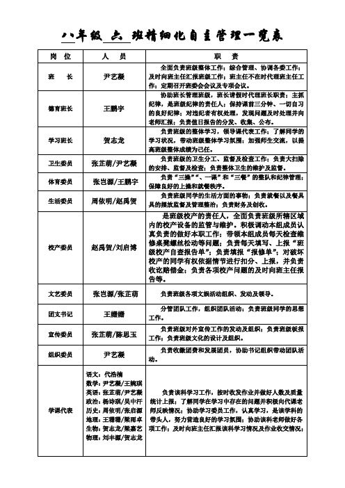 8.6班级精细化管理一览表