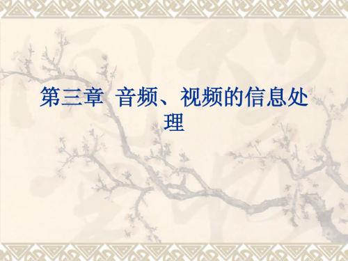 第3章音频、视频的信息处理