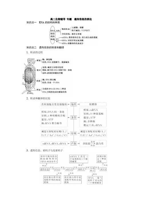 高二生物辅导 专题  遗传信息的表达