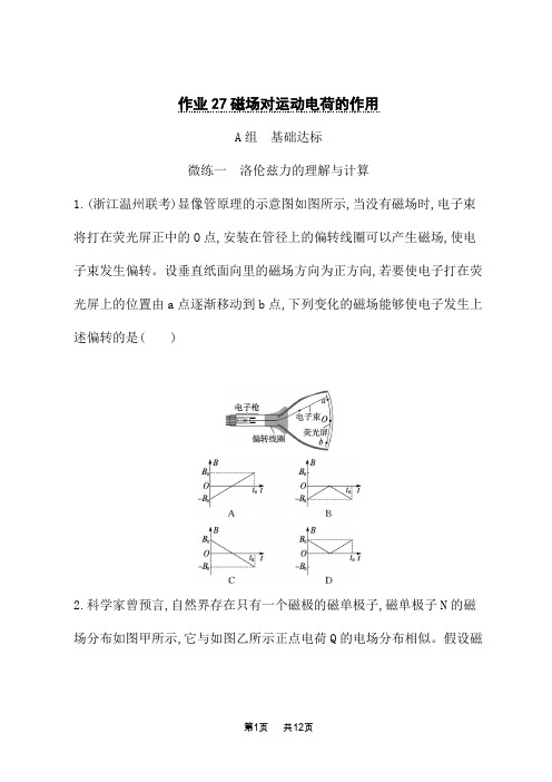 人教版高考物理一轮总复习课后习题 第10单元 磁场 作业27磁场对运动电荷的作用