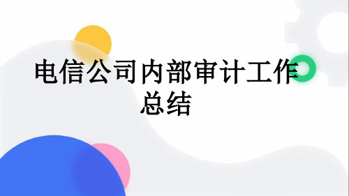 电信公司内部审计工作总结