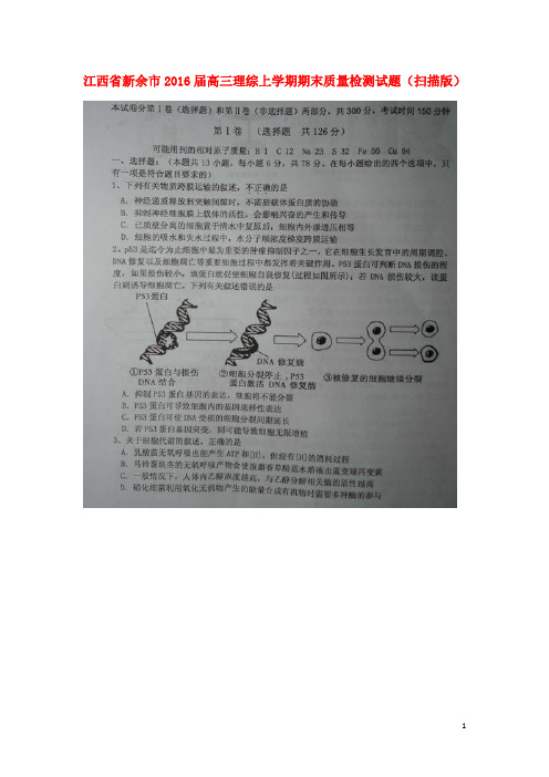 高三理综上学期期末质量检测试题(扫描版)