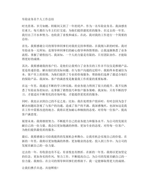 车险业务员的个人工作总结