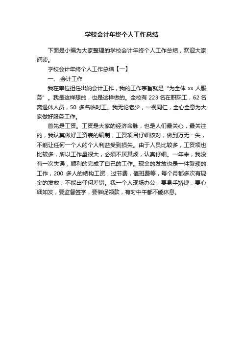 学校会计年终个人工作总结